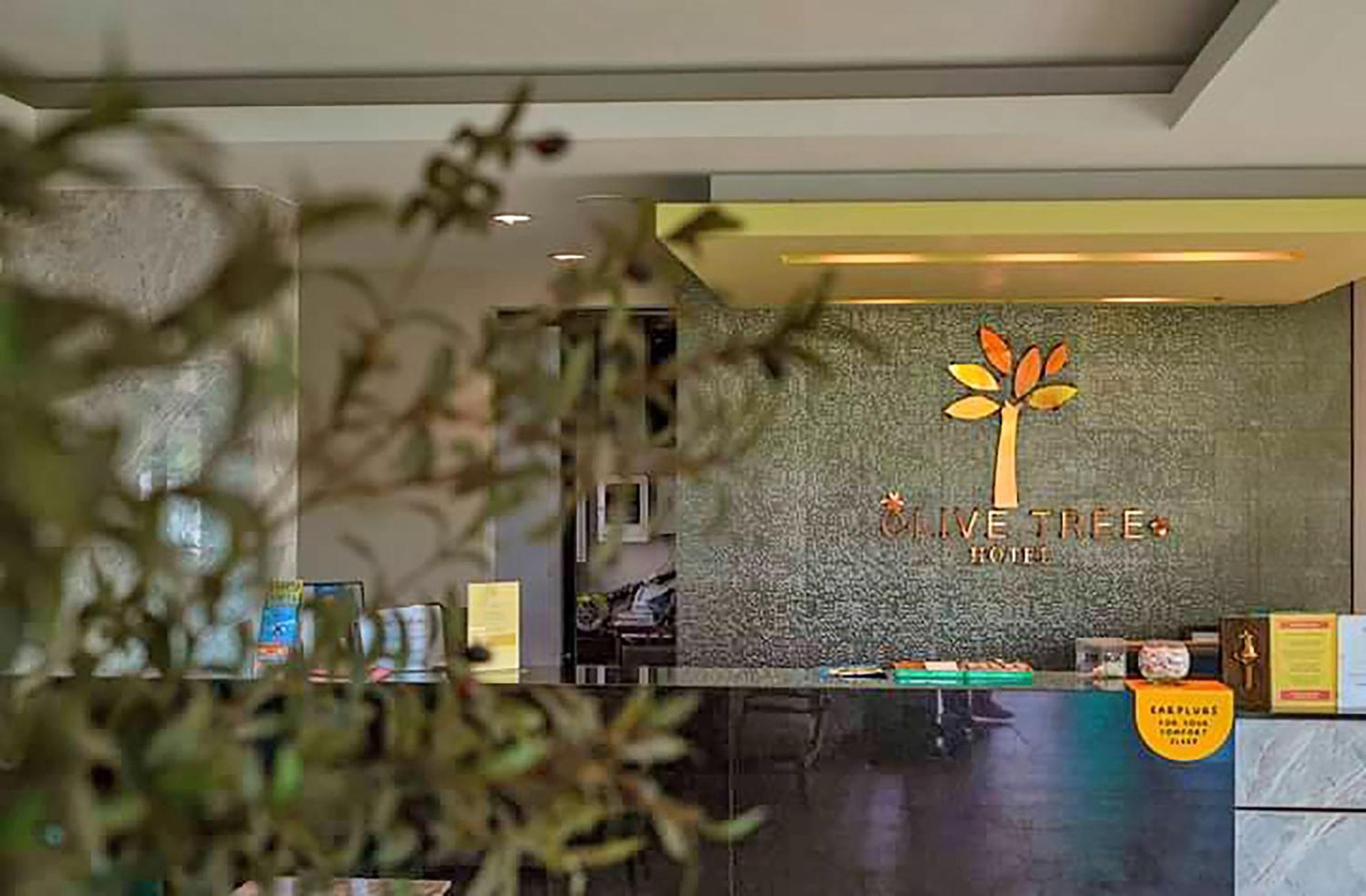 Olive Tree Hotel Pattaya Na Chom Thian Eksteriør billede